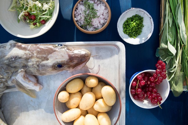 Ling fish fillets poached in olive oil (how to prepare and cook ling ...